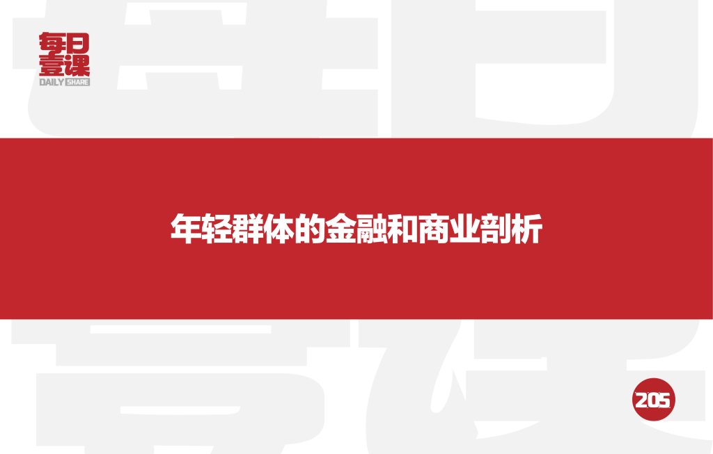 205：年轻群体的金融和商业剖析